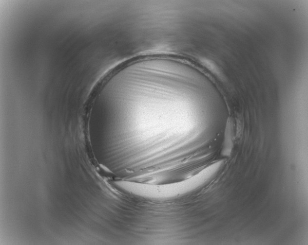 X0000065961356200603241836