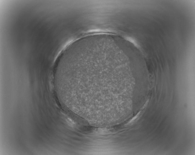 X0000065961357200603241836