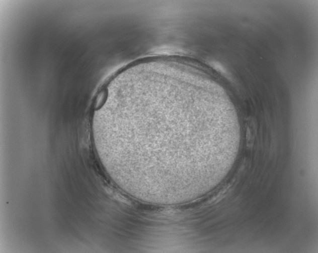 X0000065961358200603241836