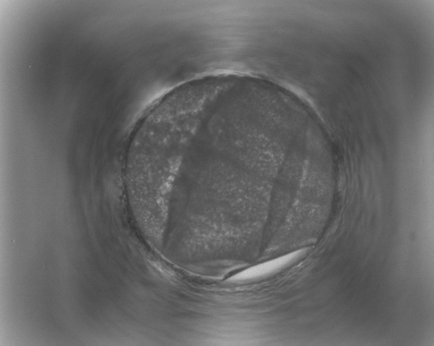 X0000065961359200603241836