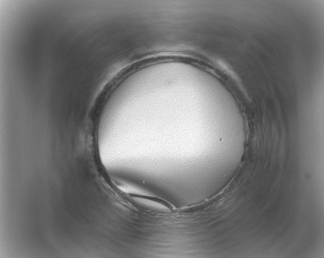 X0000065961360200603241836