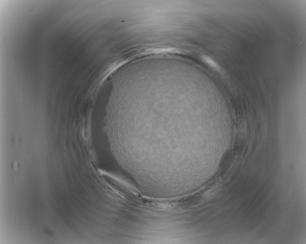 X0000065961361200603241836