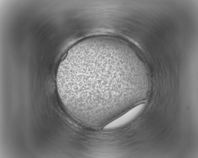 X0000065961363200603241836