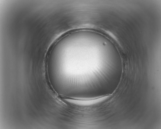 X0000065961364200603241836