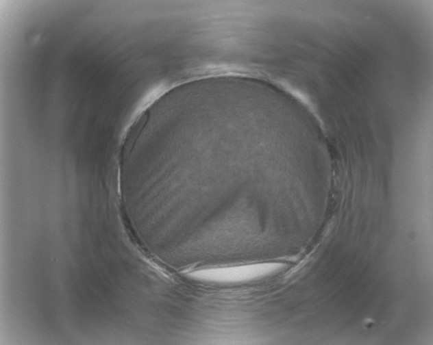 X0000065961365200603241836