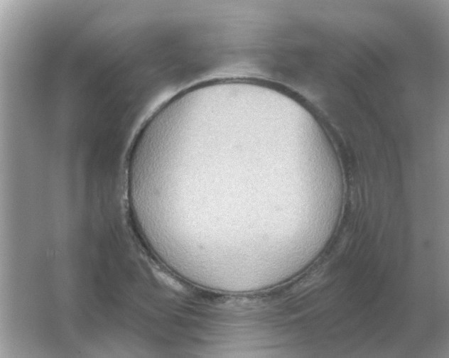 X0000065961366200603241836