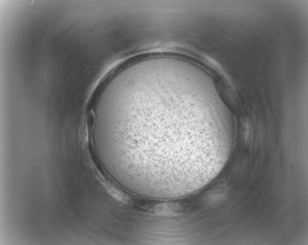 X0000065961368200603241836