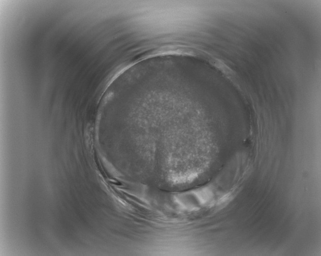 X0000065961369200603241836