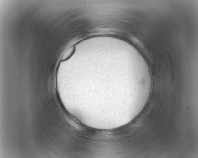 X0000065961370200603241836