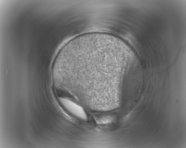 X0000065961371200603241836