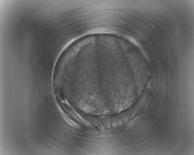 X0000065961372200603241836