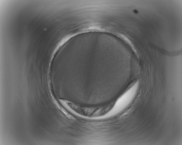 X0000065961373200603241836