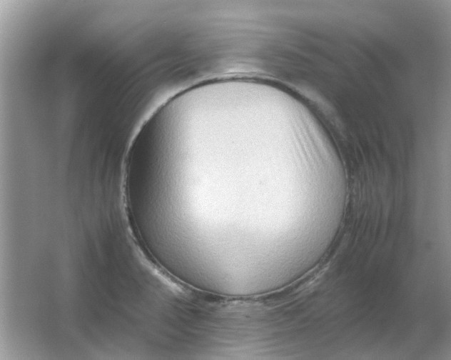 X0000065961374200603241836