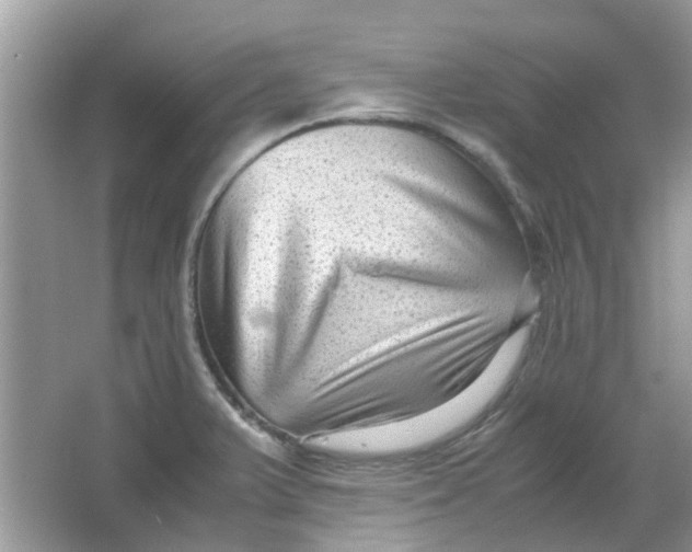 X0000065961375200603241836