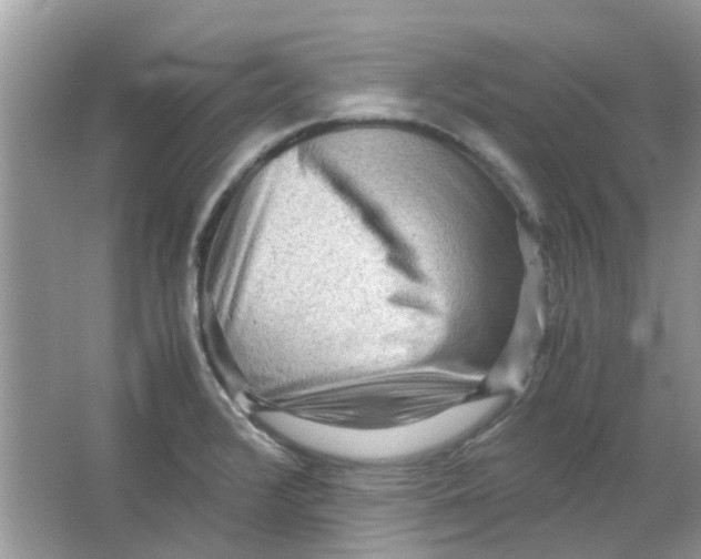 X0000065961376200603241836