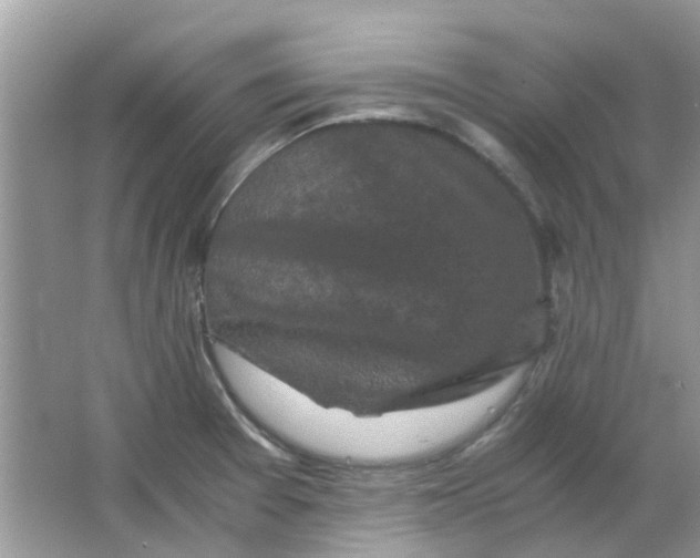 X0000065961377200603241836