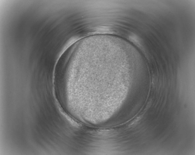 X0000065961378200603241836