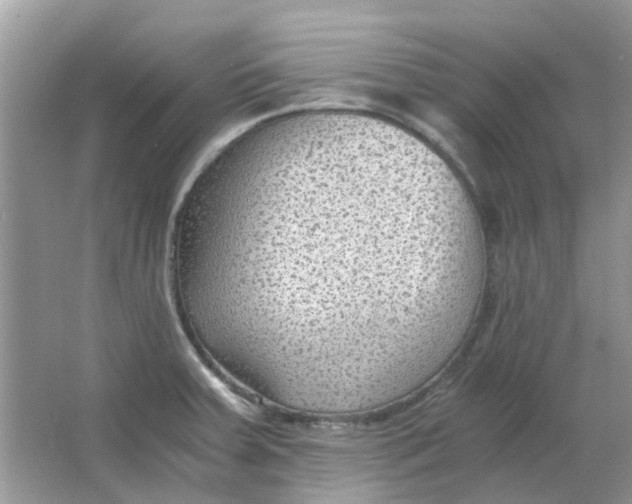 X0000065961379200603241836