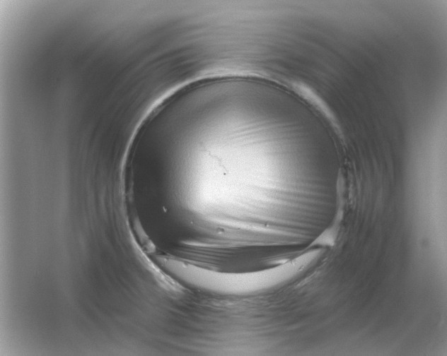 X0000065961380200603241836