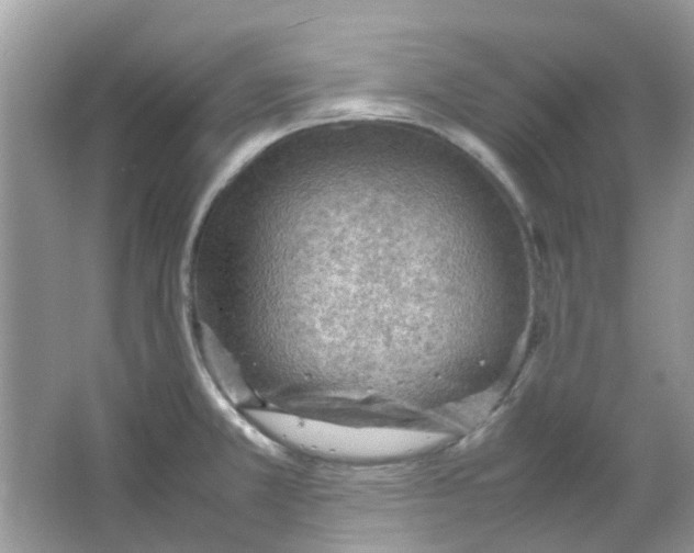 X0000065961381200603241836