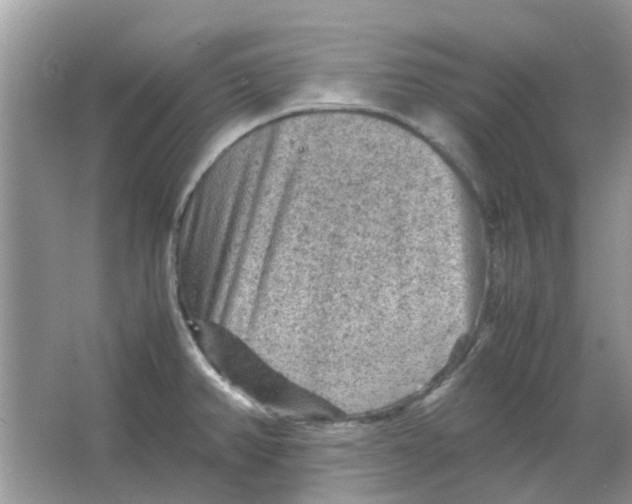 X0000065961382200603241836