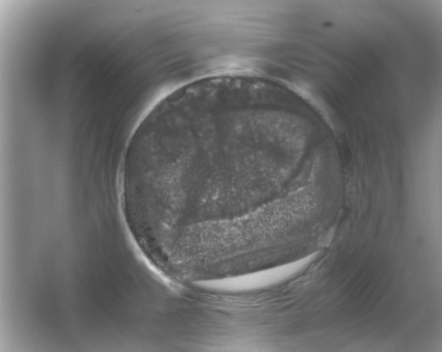 X0000065961383200603241836