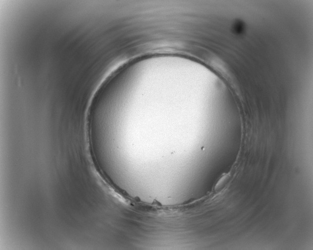 X0000065961384200603241836