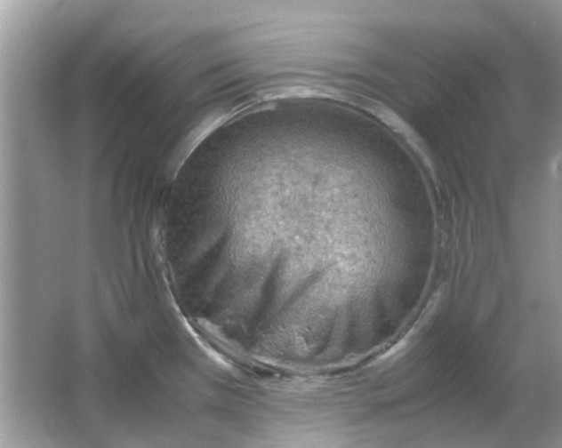 X0000065961385200603241836