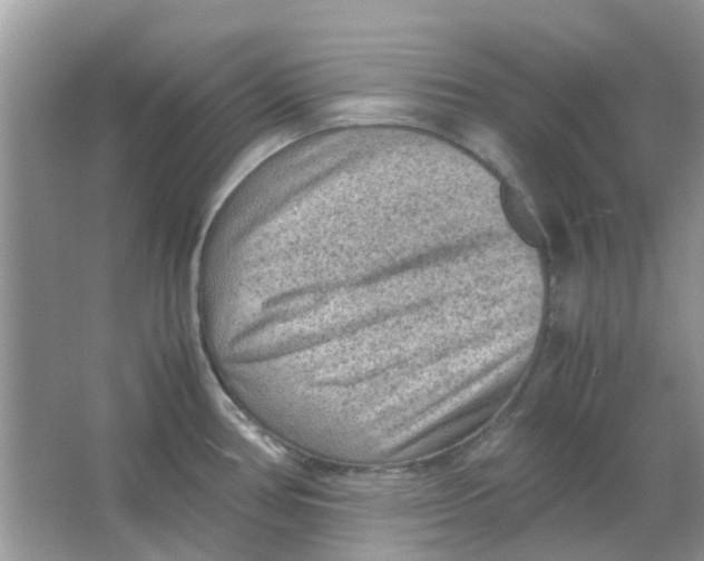 X0000065961386200603241836