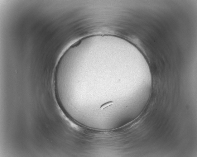 X0000065961387200603241836