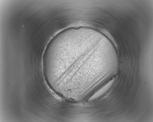 X0000065961388200603241836