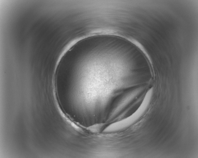 X0000065961389200603241836