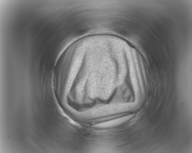 X0000065961390200603241836