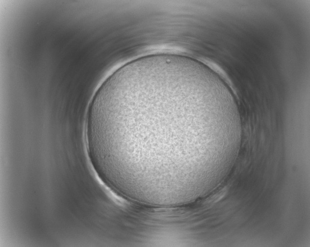 X0000065961391200603241835