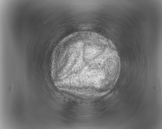 X0000065961393200603241835