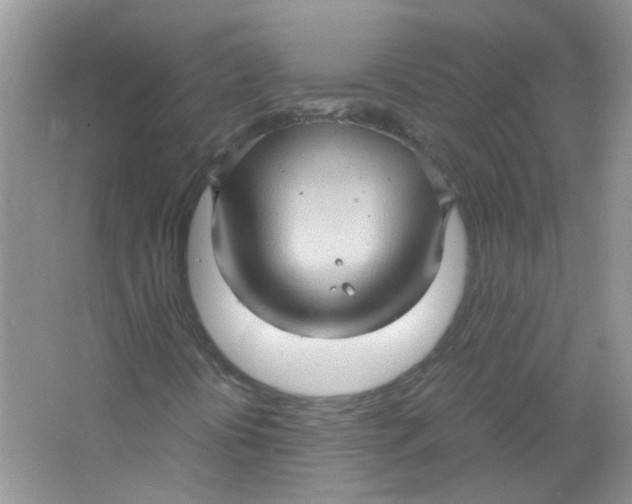 X0000065961394200603241835