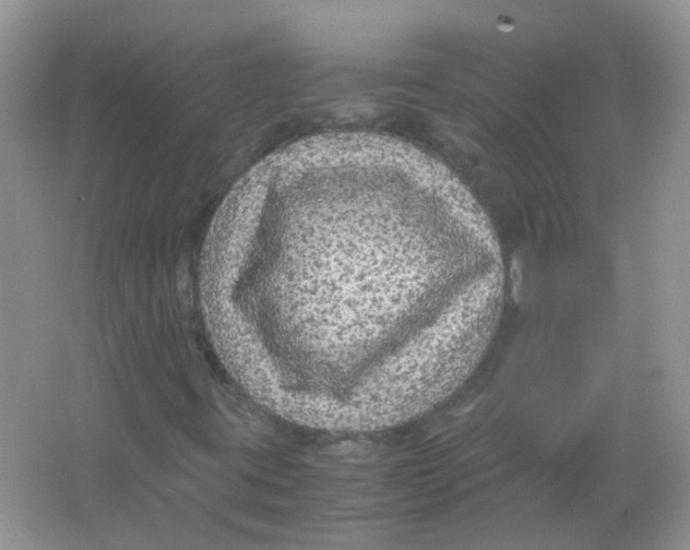 X0000065961395200603241835