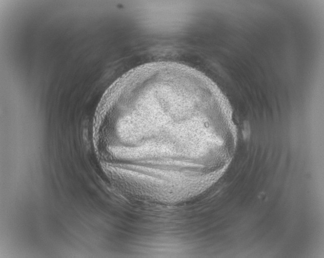 X0000065961396200603241835