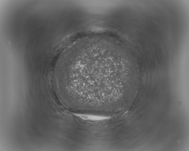 X0000065961397200603241835