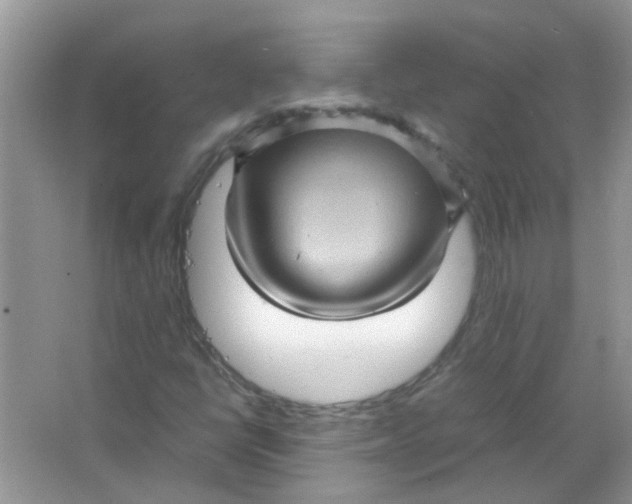 X0000065961398200603241835