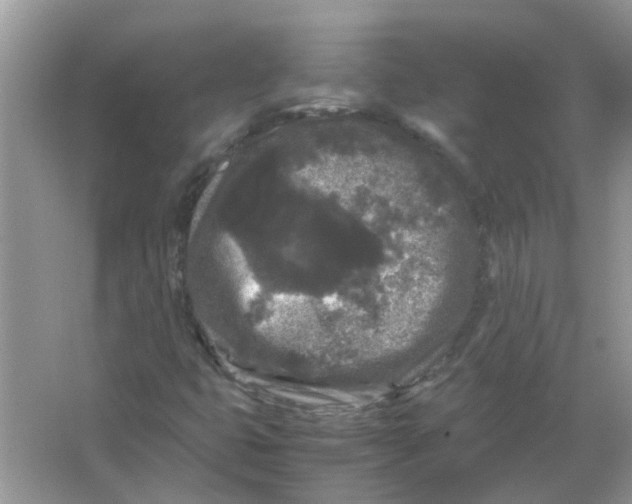 X0000065961399200603241835