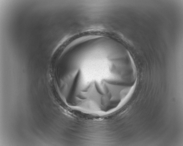 X0000065961400200603241835