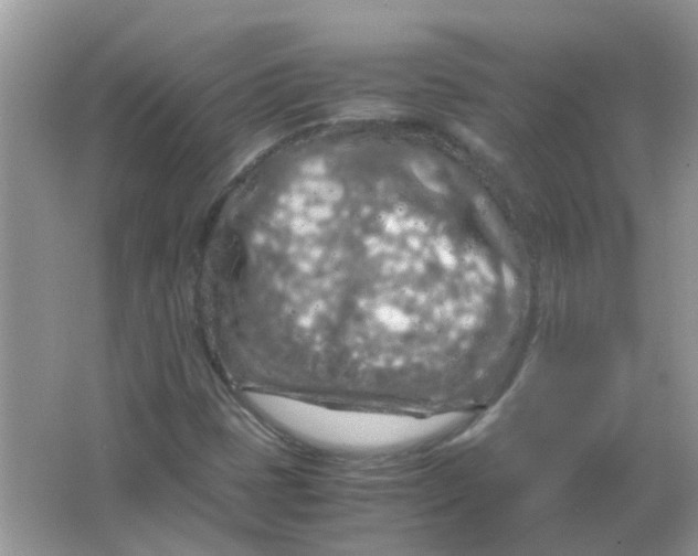 X0000065961401200603241835