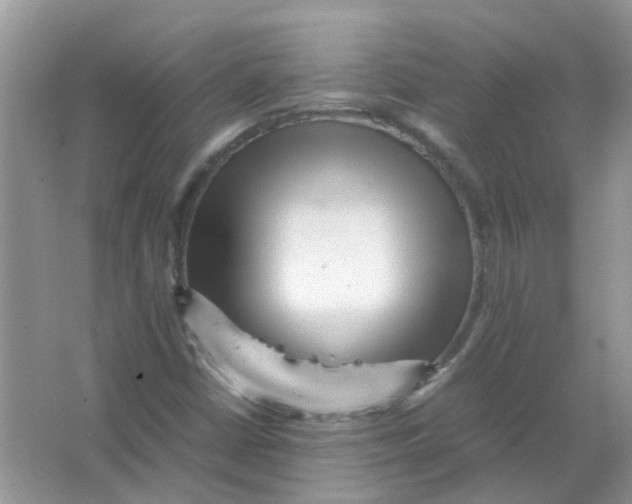 X0000065961402200603241835