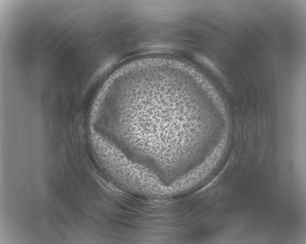 X0000065961403200603241835