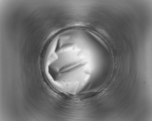 X0000065961404200603241835