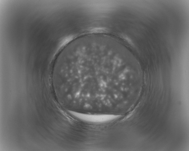 X0000065961405200603241835