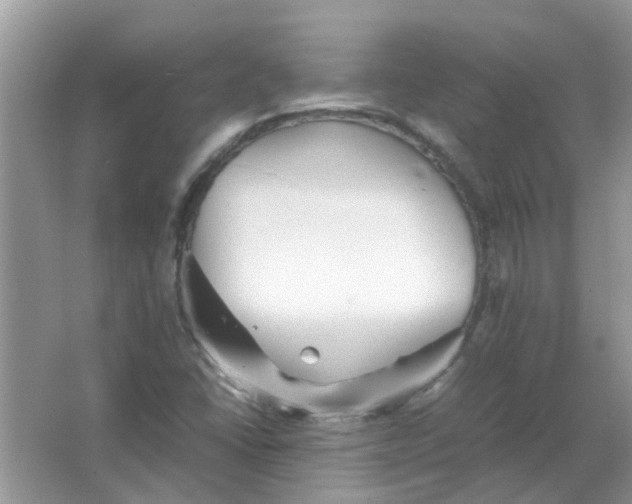 X0000065961406200603241835