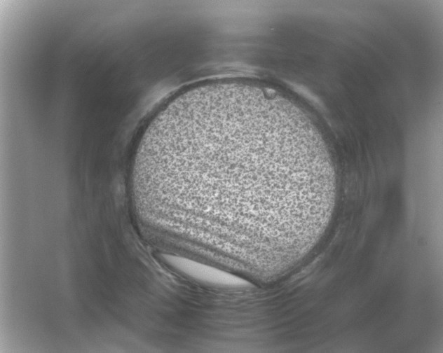 X0000065961407200603241835