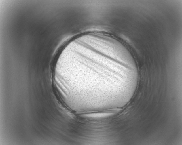 X0000065961408200603241835